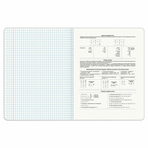 Тетрадь предметная DOG БОБИК 48 л., TWIN-лак, ИНФОРМАТИКА, клетка, подсказ, BRAUBERG, 404788
