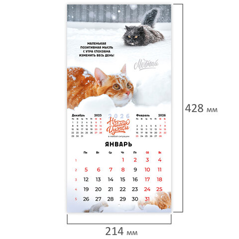 Календарь настенный перекидной 2026 г., BRAUBERG, 12 листов, 21,4х21,4 см, МИНИ, "Не падай духом", 116942