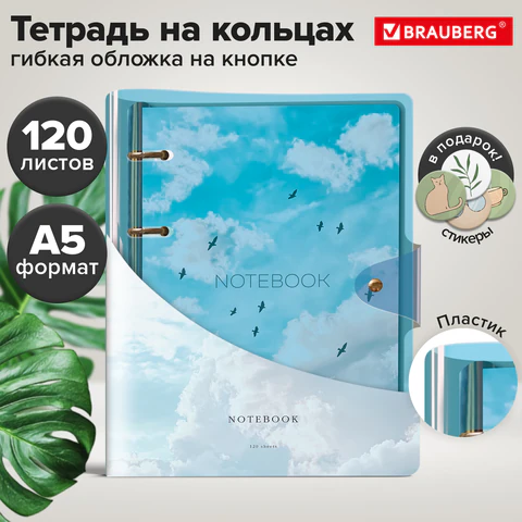 Тетрадь на кольцах А5 180х220 мм, 120 л., неоновый пластик, клапан, стикеры, BRAUBERG, синий, 405223