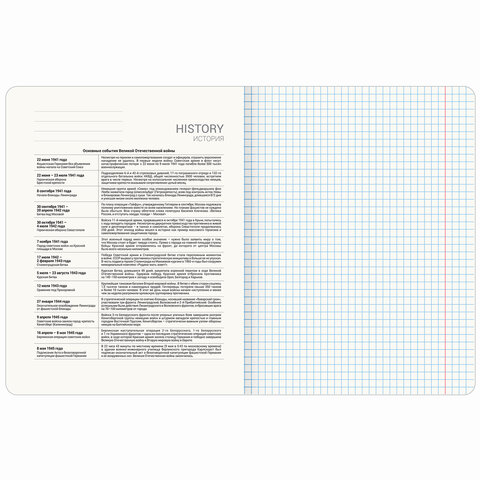Тетрадь предметная "ANIME GIRLS" 48 л., матовая ламинация, ИСТОРИЯ, клетка, подсказ, BRAUBERG, 404753