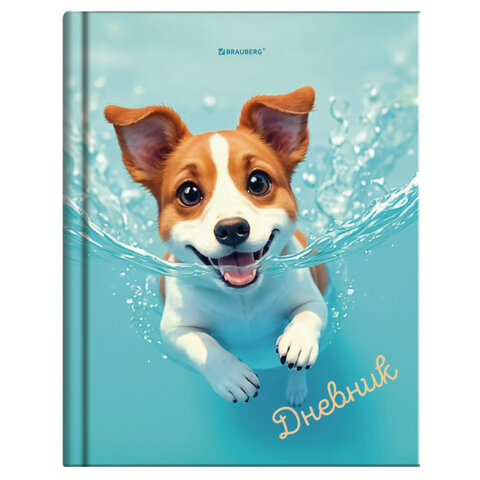 Дневник 1-4 класс 48 л., твердый, BRAUBERG, глянцевая ламинация, с подсказом, "МИКС", 107587