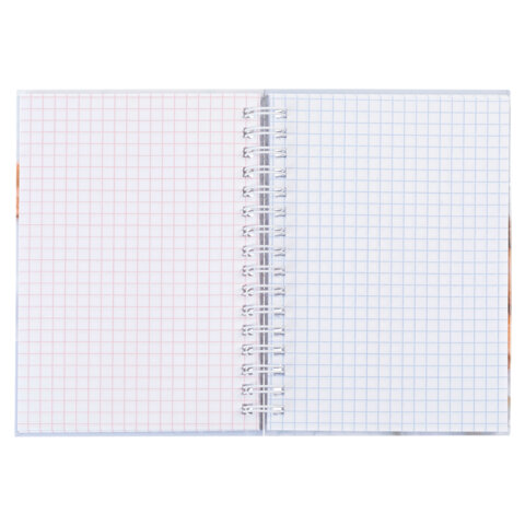 Блокнот МАЛЫЙ ФОРМАТ А6, 80 л., гребень, твердый картон, клетка 2 цв., HATBER, "Носики-курносики", 082842, 80ЗКтд6В1гр_301