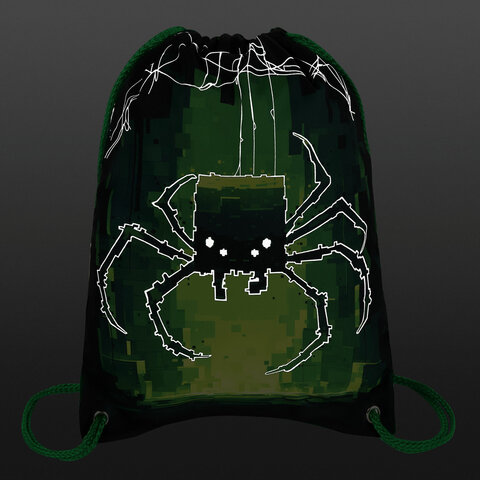 Мешок для обуви BRAUBERG PREMIUM, карман, подкладка, светоотражайка, 43х33 см, "Digital spider", 273444