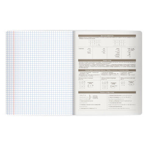 Тетрадь предметная MonoPastel 48л, пластиковая обложка, ИНФОРМАТИКА, клетка, подсказ, BRAUBERG, 405507