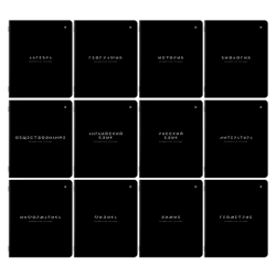Тетради предметные, КОМПЛЕКТ 12 ПРЕДМЕТОВ 48 л., пластиковая обложка, BRAUBERG "BLACK MODE", 405541
