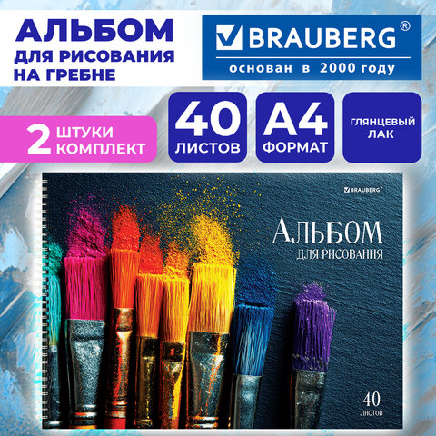Альбомы для рисования ДЭК, А4, 40 л., КОМПЛЕКТ 2 шт., гребень, глянцевый лак, BRAUBERG, 200х290 мм, "Кисти", 107735