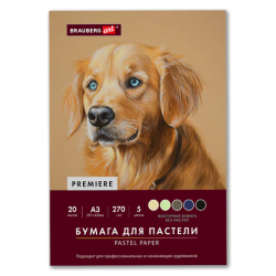 Бумага для пастели ФАКТУРНАЯ, А3, в папке, 20 листов, 5 цветов, 270 г/м2, BRAUBERG ART, 117756