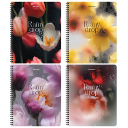 Тетради ДЭК А5 48 л. КОМПЛЕКТ 4 шт., BRAUBERG, гребень, клетка, 80 г/м2, SoftTouch, Aesthetics, 405580