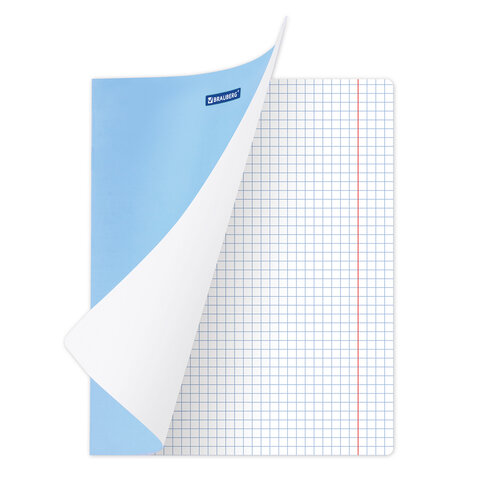 Тетради ДЭК 18 л. КОМПЛЕКТ 20 шт. BRAUBERG КЛАССИКА NEW, клетка, обложка картон, СИНЯЯ, 880061