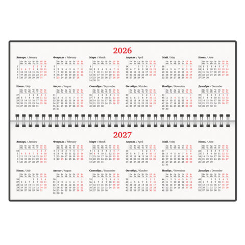 Планинг датированный 2026 305х140 мм BRAUBERG "Up", под кожу, серый, 117236