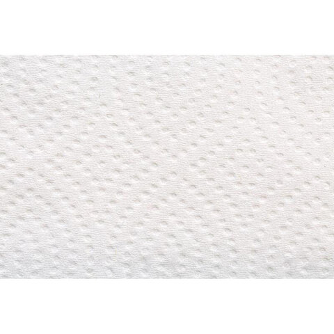 Бумага туалетная FOCUS (T3) Premium, 2 слоя, КОМПЛЕКТ 15 пачек, листовая, 250 листов, V-сложение, 5083735