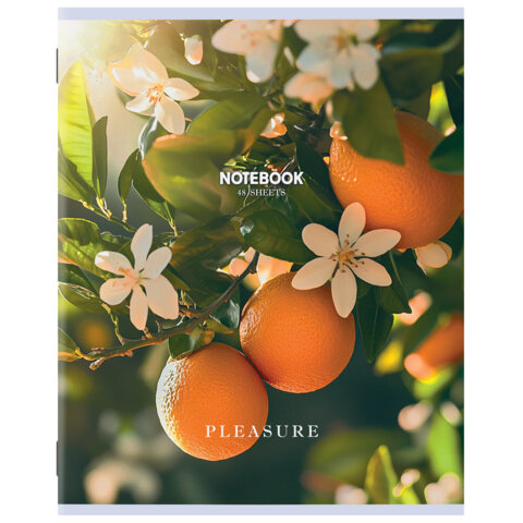 Тетрадь А5, 48 л., STAFF, скоба, клетка, офсет №2 ЭКОНОМ, обложка картон, ФЛОРА, 405626