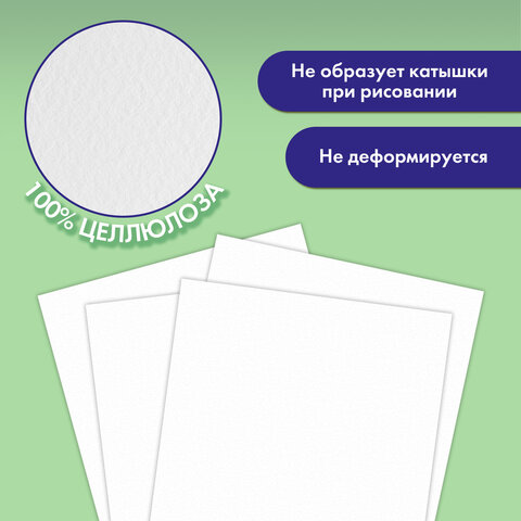 Папка для акварели БОЛЬШАЯ А3, 20 л., 200 г/м2, 297х420 мм, BRAUBERG АКАДЕМИЯ, "Львёнок", 117745