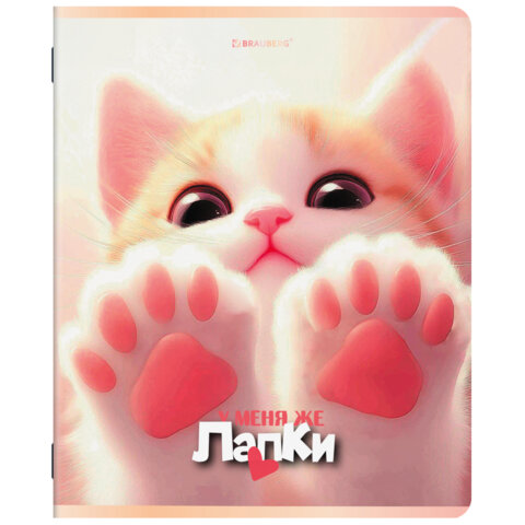 Тетради ДЭК А5 48 л. КОМПЛЕКТ 5 шт. BRAUBERG, скоба, клетка, SoftTouch, "ЛАПКИ", 404946