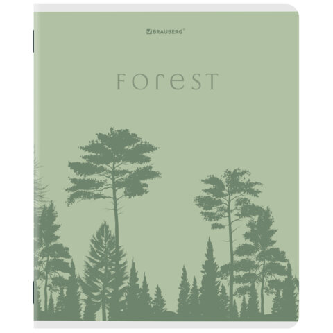 Тетради ДЭК А5 48 л. КОМПЛЕКТ 5 шт. BRAUBERG скоба, клетка, матовая ламинация, СИЛУЭТЫ, 404921