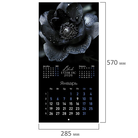 Календарь настенный перекидной 2026 г., BRAUBERG, 12 листов, 28,5х28,5 см, "Black esthetic", 116927