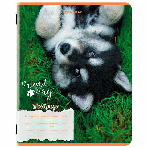 Тетрадь 18 л. BRAUBERG клетка, обложка картон, СОБАЧКИ, 107295