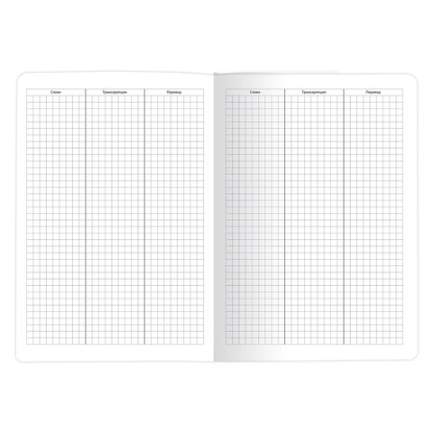 Тетрадь-словарь для записи иностранных слов, А5, 60 л., КОЖЗАМ, сшивка, клетка, "Travel", BRAUBERG, 404037