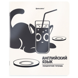 Тетрадь предметная КОТ-НЕПОСЕДА 48л, пластиковая обложка, АНГЛИЙСКИЙ ЯЗЫК, клетка, подсказ, BRAUBERG, 405529