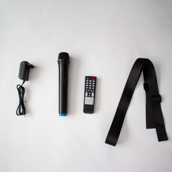 Напольная колонка ELTRONIC DANCE BOX 360 Watts арт. 20-34 с микрофоном и RGB cветомузыкой