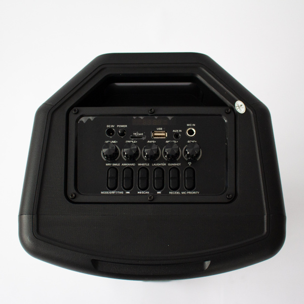 Напольная колонка Eltronic FIRE BOX 300 Watts арт. 20-23 с проводным микрофоном и RGB цветомузыкой