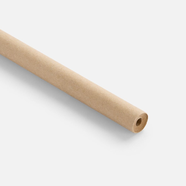 Ручка шариковая Carton Plus, ver.2, неокрашенная, 15,7х0,8 см