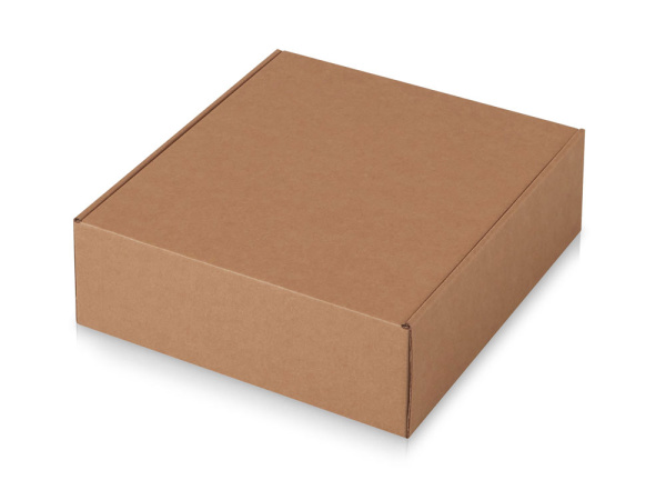 Набор «Warmpage» с термосом, блокнотом, ручкой и чаем, Цвет белый, серый