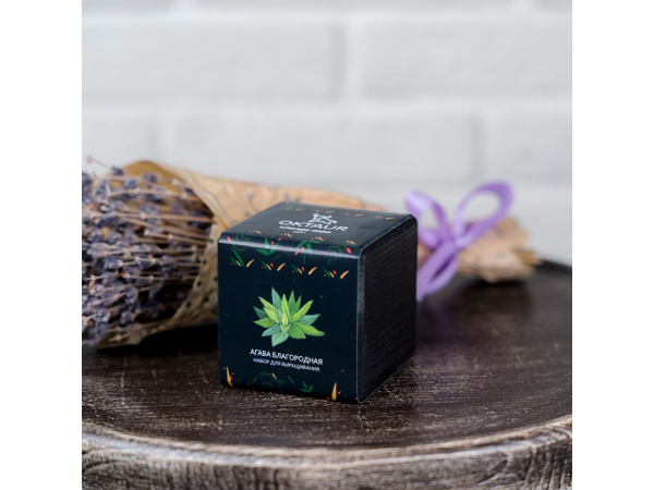 Набор для выращивания «Small village cube «Агава Благородная», Цвет черный