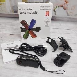 Персональный видеорегистратор/мини диктофон Mini Dv World Smallest Voice