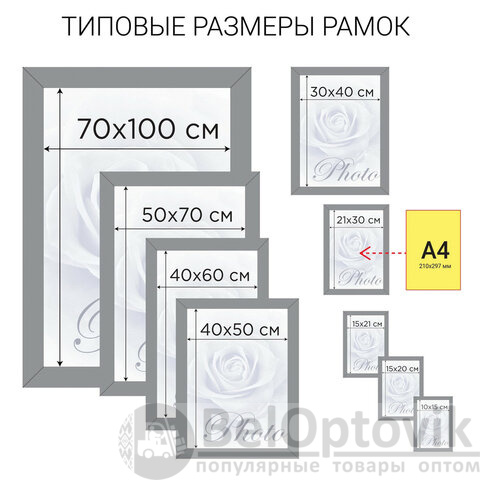 Рамка 21х30 см небьющаяся, КОМПЛЕКТ 3 шт., багет 17 мм МДФ, STAFF "Carven", цвет светлое дерево, 391323