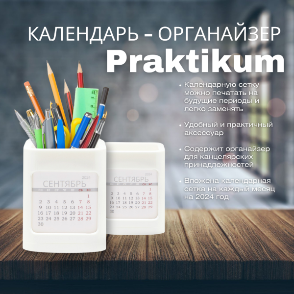 Календарь - органайзер настольный Praktikum на 2024 год