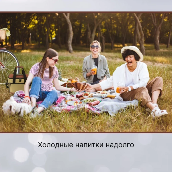 Сумка изотермическая 9037 18л с открывалкой для бутылок, коричневая / Надежная изоляция и удобство в использовании