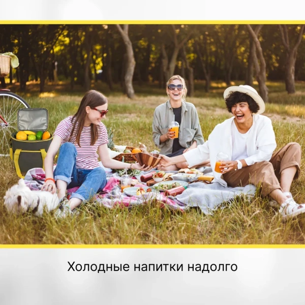 Сумка изотермическая 9047, 13 л, серо-желтая / Держит температуру до 24 часов, удобна для пикников и поездок
