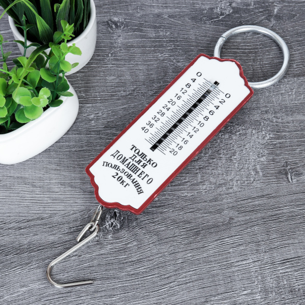 Весы безмен 20 кг / V-2-20 /уп 240/