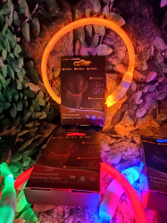 Светящийся ошейник для собак (3 режима, зарядка USB)  Оранжевый (Orange), размер М