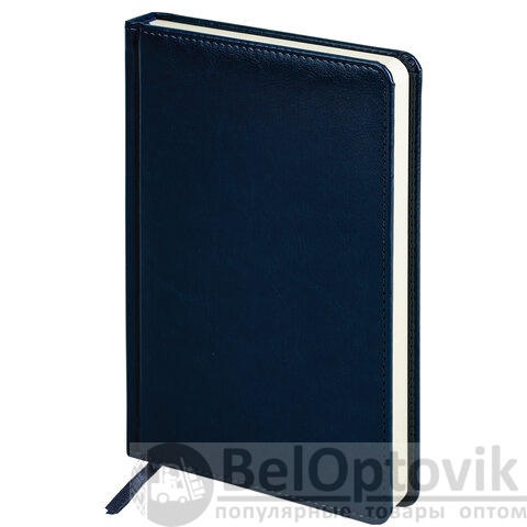 Ручка шариковая PARKER "Jotter Plastic CT", корпус синий, ежедневник А5 синий, пакет, 880896