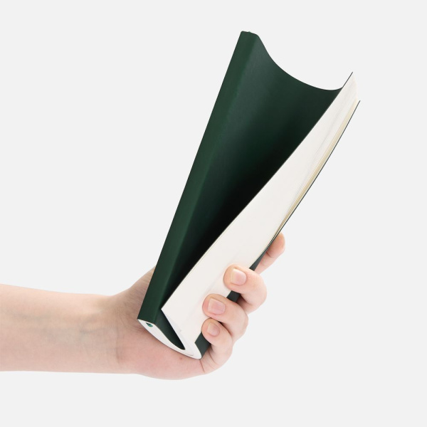 Ежедневник Flat Light ver.2, недатированный, зеленый, 14,7х20,6х1 см