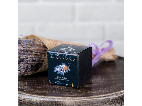 Набор для выращивания «Small village cube «Ель Голубая», Цвет черный