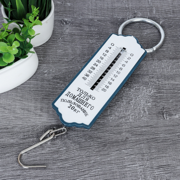 Весы безмен 20 кг / V-2-20 /уп 240/