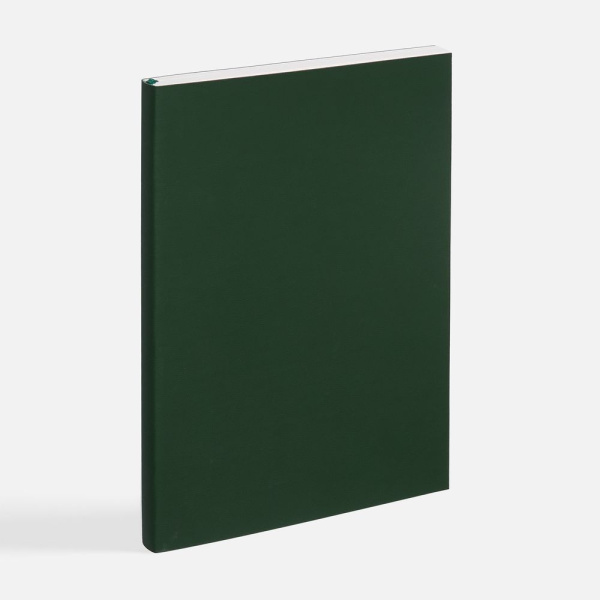Ежедневник Flat Light ver.2, недатированный, зеленый, 14,7х20,6х1 см