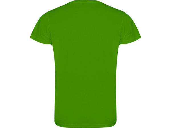 Футболка «Camimera» мужская, Размер XL, Цвет папоротниковый