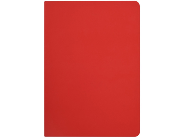 Бизнес-тетрадь А5 «Pragmatic Contrast», Цвет красный/темно-серый