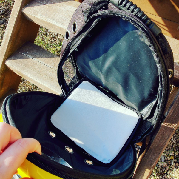 Рюкзак - переноска для домашних животных CosmoPet / 2 сменных окошка (иллюминатор + сетка) / Сумка - переноска желтая с черным