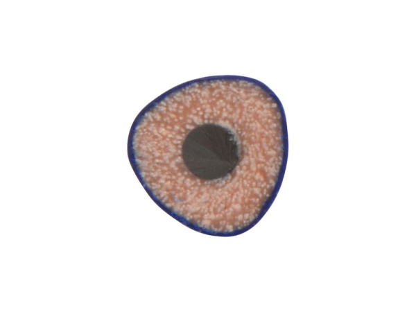 Трехгранный карандаш «Conti» из переработанных контейнеров, Цвет синий