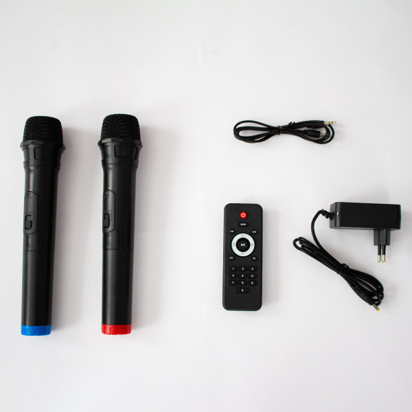 Напольная колонка Eltronic FIRE BOX 500 W PMPO арт. 20-59 с двумя  микрофонами и встроенной батареей