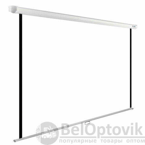 Экран Cactus WallExpert CS-PSWE-200x200-WT, 200x200 см, 1:1, настенно-потолочный, белый