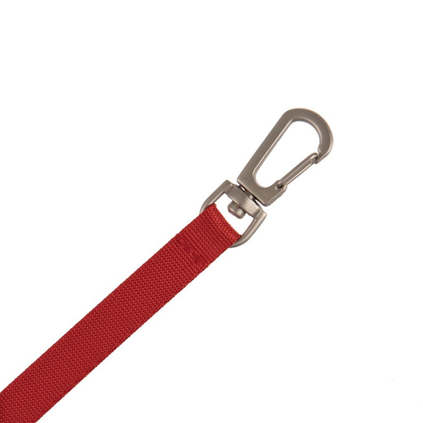 Застежка-карабин Snap Hook, S, серебристая, 1х3,5 см