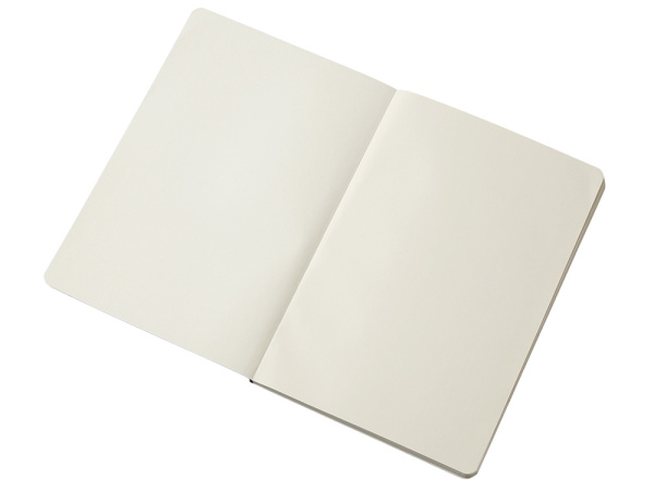 Блокнот в гибкой обложке A5 «Виспи 2.0» в клетку, Цвет красный