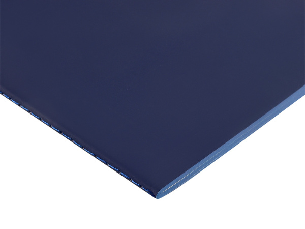 Бизнес-тетрадь А5 «Pragmatic Contrast», Цвет темно-синий/синий