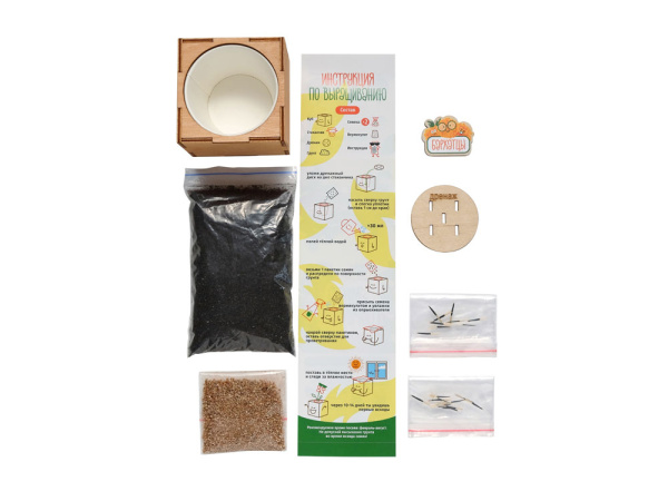 Набор для выращивания «Бархатцы», Цвет желтый